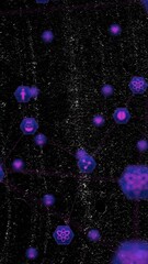 Poster - Animation of medical icons on black background
