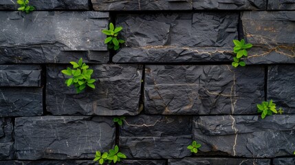 Poster - Textured charcoal stained stone wall features deep cracks and vibrant green plants growing between stones, creating striking contrast