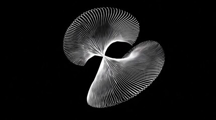 Poster - Abstract, swirling, and intricate white lines create a dynamic design against a black backdrop.