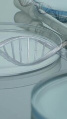 Poster - Animation of dna strands over laboratory dishes on grey background