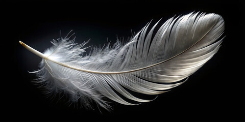 Poster - A beautifully detailed feather lies gently against a black background, highlighting its soft, wispy textures and elegant form. The contrast enhances its delicate appearance