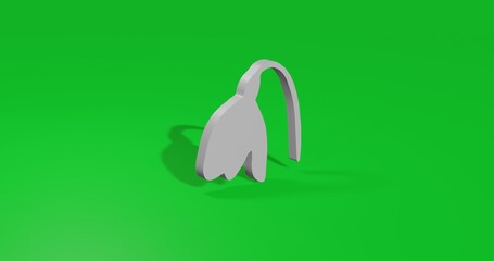 Poster - Isolated realistic white snowdrop front view with shadow. 3d illustration on green chroma key background
