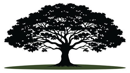 Vector art of a full silhouette of a leafy tree with a broad crown standing on a grassy ground isolated on white background