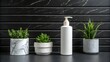 © Evanoka Art - Minimal cosmetic bottle with indoor plants on dark marble background in modern composition