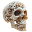 © Sagar - skull illustration png transparent background