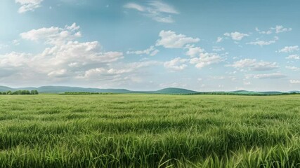 Poster - A serene mountain scene with lush green grass and distant mountains, suitable for use as a calming background image