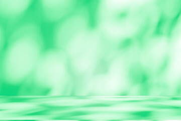 Poster - Wall interior background, studio and backdrops show products. with leaf shadow from window color green and white. background for text insertion and presentation of product	