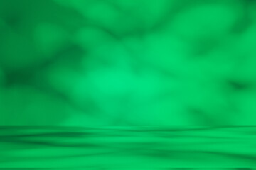 Poster - Wall interior background, studio and backdrops show products. with leaf shadow from window color green and white. background for text insertion and presentation of product	