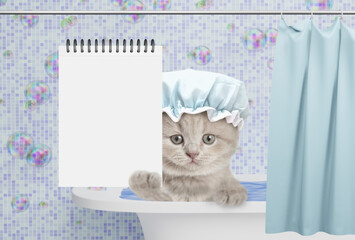 Aufkleber - Cute gray kitten wearing shower cap takes the bath at home and shows blank white notepad in it paw. Empty space for text