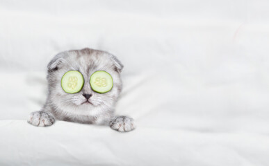 Fototapete - Cute kitten with a pieces of cucumber on it eyes relaxing on the bed at home. Top down view. Empty space for text