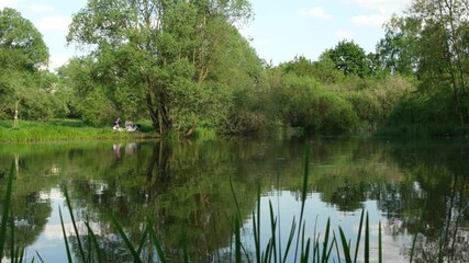 Aufkleber - People are relaxing and spending quality time by a serene lake, surrounded by tall grass and vibrant greenery on a sunny afternoon.