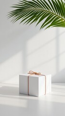 Poster - Minimalist display features a wrapped white cube with botanical element and soft window light providing visual interest and bright space