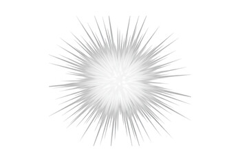 Poster - A bright white burst of light with gray rays, isolated on transparent background