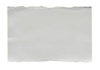 Poster - A piece of vibrant red torn paper with a curled edge is isolated on transparent background