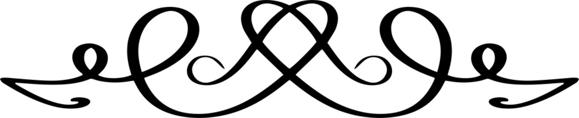 Poster - Calligraphic curved classical luxury line art.