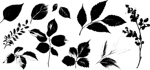 Poster - Hand drawn black leaves and branches collection for botanical design and decoration