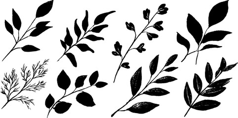 Poster - Hand drawn collection of black leaves and branches for nature design projects