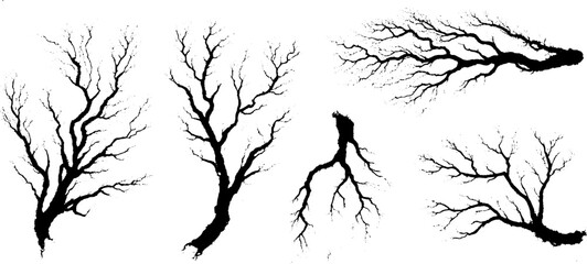Poster - Organic ink expressions: diverse branch and vein patterns for creative design