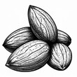 © Pure Imagination - Black and White Almond Illustration