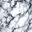 © Solaiman - Elegant Black and White Marble Texture Background