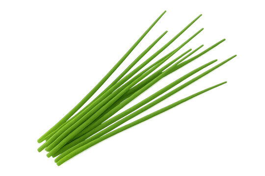 Realistic 3d rendering displaying fresh chives bunch, green stems isolated, transparent background presenting crisp herbal detail