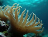 A sea anemone moves slowly in the current, its tentacles responding like breath.
