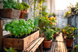 © Jezper - photo of a cozy balcony in big city, growing vegetables and herbs