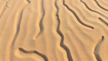 Poster - Flowing patterns in desert sand dunes nature photography arid environment close-up view