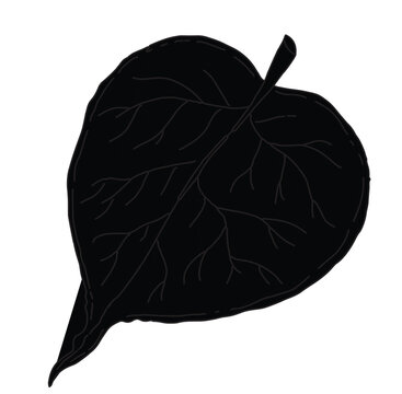 Cute cartoon hand drawn vector pipal leaf silhouette.
