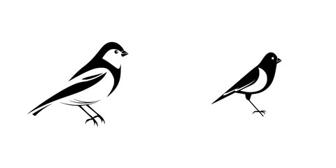 Poster - Silhouette pictograms of birds in black and white showcasing different postures and characteristics