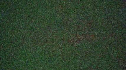 Wall Mural - film-style digital static overlay with retro noise effect for editing projects