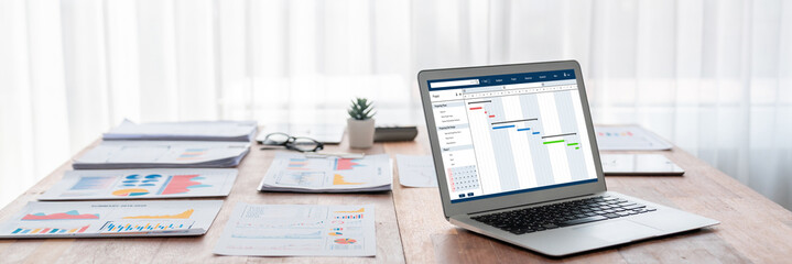 Fototapete - Project planning software for brisk business project management on the computer screen showing timeline chart of the team project