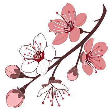 Flower petals  Icon Romantic Love Symbols, Hearts, Cupid, Gifts & Celebration Graphics