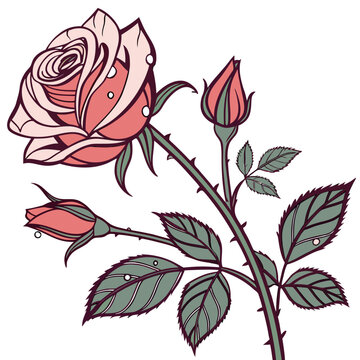 Rose  Icon Romantic Love Symbols, Hearts, Cupid, Gifts & Celebration Graphics