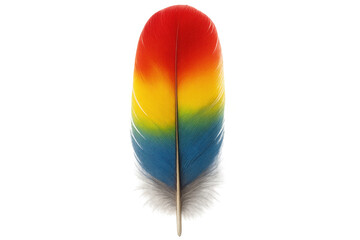 Poster - Single vibrant feather displaying rainbow colors, isolated on a transparent background, ideal for creative projects