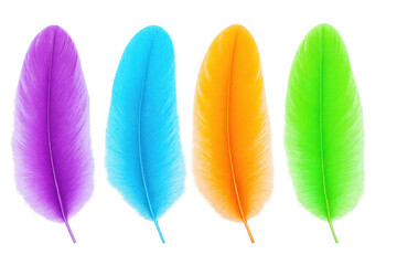 Poster - Multicolored feathers spreading softly, blending purple, blue, orange, green hues against transparent surface