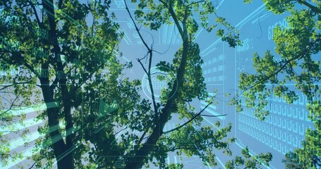 Poster - Technology scanning tree branches for environmental data and generating holographic network overlay