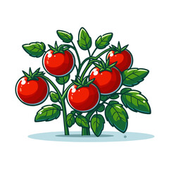 Wall Mural - Tomato plant with ripe tomatoes and green leaves in a bright style