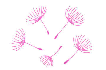 Poster - Pink dandelion seeds are flying in different directions on a transparent background, creating a delicate and whimsical image