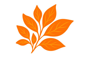 Poster - Autumn orange branch with vivid leaves spreading against clear backdrop, highlighting seasonal botanical beauty for graphic design