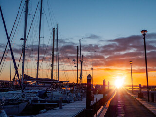 Wall Mural - A sun rise over a marina with silhouettes of masts of many boats and yachts docked. Teal and orange color scheme. Calm and relaxing mood. Port of Galway, Ireland.