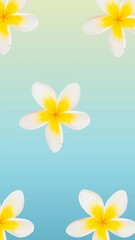 Poster - Composition of rows of white and yellow flowers moving on blue background