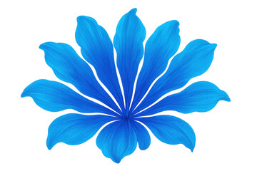 Poster - Blue petals delicately spreading, revealing intricate flower details with soft luminosity on clean white backdrop