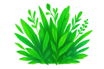 Poster - Green grass and verdant foliage presenting natural landscape with clean isolated transparency, ideal for design projects
