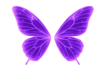 Poster - Iridescent purple butterfly wings glowing with translucent veins, casting ethereal light against transparent background, highlighting delicate natural beauty