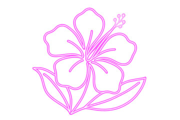 Poster - Neon pink hibiscus flower with leaves glowing on a transparent background, perfect for summer and tropical designs
