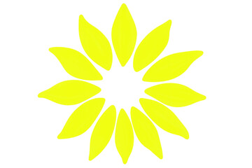 Poster - Bright yellow flower with elongated petals forming circular symmetry, radiating outward on transparent backdrop