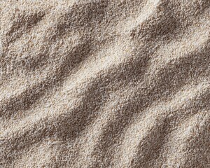 Poster - Minimalist Silica Sand Texture with Fine Grains for Modern Website Backgrounds Symbolizing Simplicity and Order in Clean Digital Design