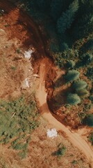 Poster - High-Quality Aerial View of Deforestation and Forest Road Construction Authentic Environmental Impact Content for Professional Forestry and Sustainability Marketing