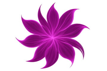 Poster - Beautiful glowing purple flower isolated on transparent background, perfect for adding a touch of elegance and magic to any project
